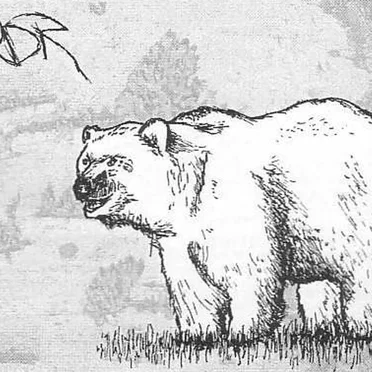 Vordr