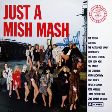 Just a Mish Mash by Various Artists - album cover