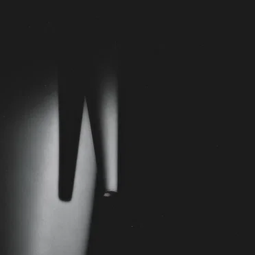 In the Shadow, In the Light by Reports of Oval - album cover
