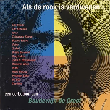 Als de rook is verdwenen... Een eerbetoon aan Boudewijn de Groot by Various Artists - album cover