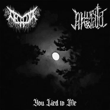 You Lied to Me (Remake) by минута агонии - album cover