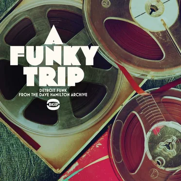 A Funky Trip - Detroit Funk From The Dave Hamilton Archive by Various Artists - album cover