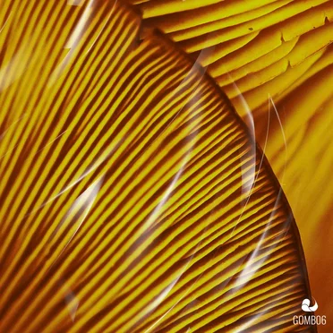 Juices EP by SØRN - album cover