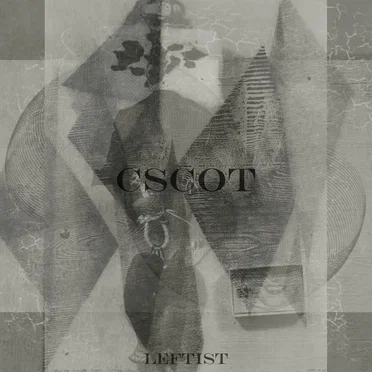 Leftist by Cheating Spouses Caught on Tape - album cover