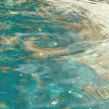 Entering the Ocean