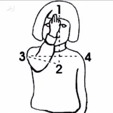 ms what i need
