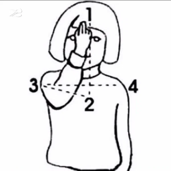ms what i need
