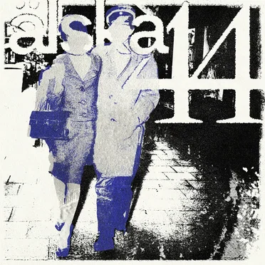 älska 44 by Tom D. - album cover