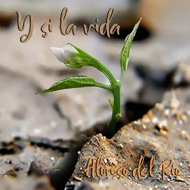 Y si la vida