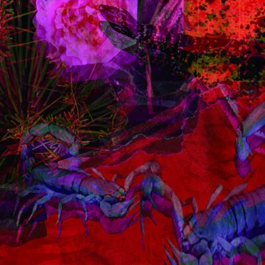 Untitled 1991, Vol. 2