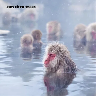 One Won Now by Sun Thru Trees - album cover