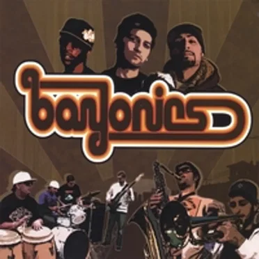 Bayonics