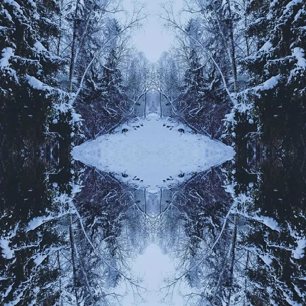 Rimfrost