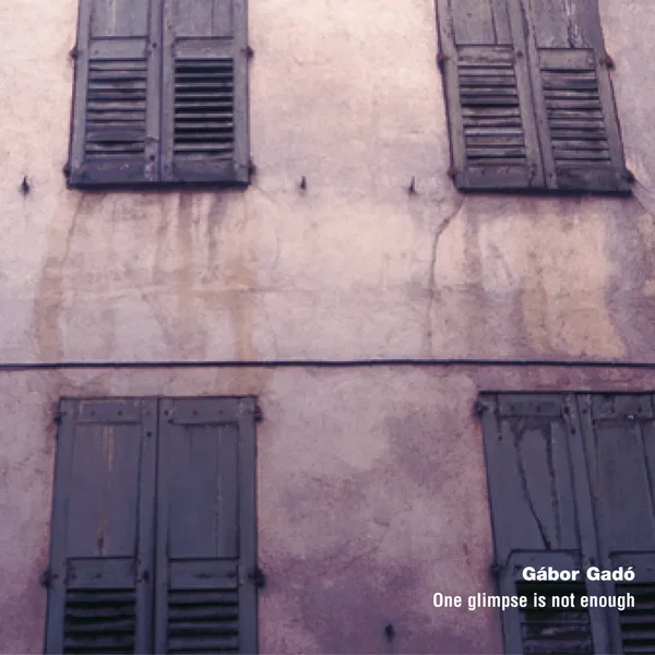 One Glimpse is Not Enough