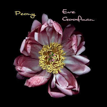 Peony by Eve Goodman - album cover