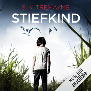 Stiefkind by S. K. Tremayne - album cover