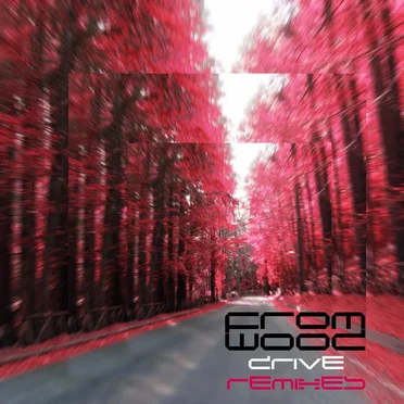 Drive (Remixes) by Fromwood - album cover