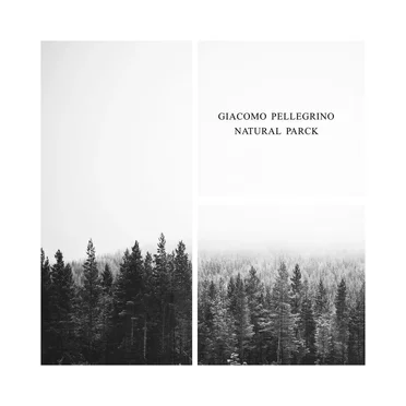 Natural Parck by Giacomo Pellegrino - album cover