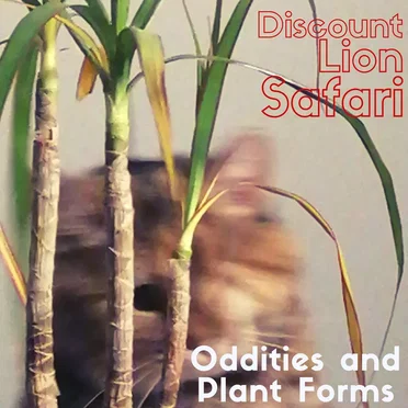 Oddities and Plant Forms by Discount Lion Safari - album cover
