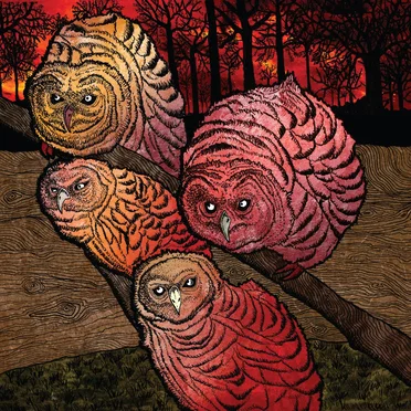 L'Âtre et l'enfant by Edinburgh of the Seven Seas - album cover