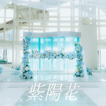 紫陽花