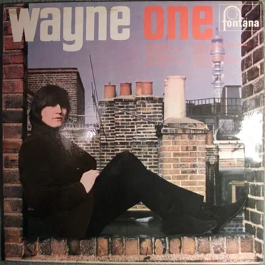 Wayne One