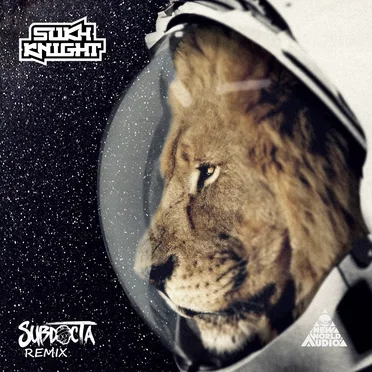 Hustlerz (SubDocta remix)