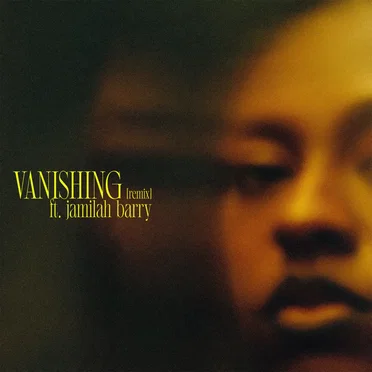 vanishing . (remix)
