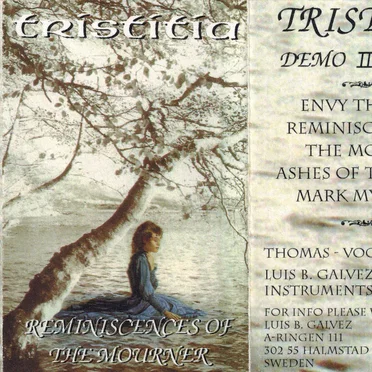 Reminiscences of the Mourner