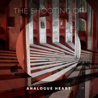 Analogue Heart by The Shooting Of - album cover