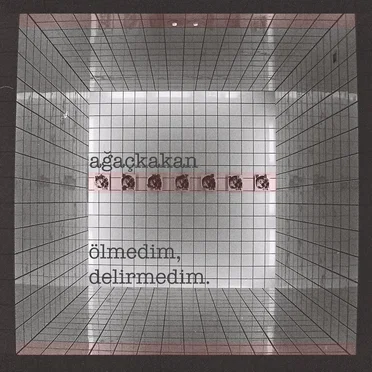 Ölmedim, Delirmedim