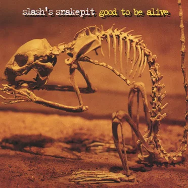 Good to Be Alive
