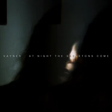 At Night the Skeletons Come by VAYNES - album cover
