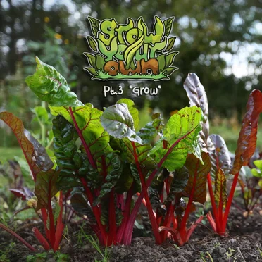 Grow Your Own Pt.3 "Grow" by Various Artists - album cover