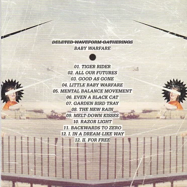 Baby Warfare by Deleted Waveform Gatherings - album cover