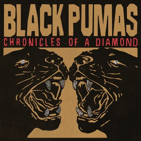 Black Pumas