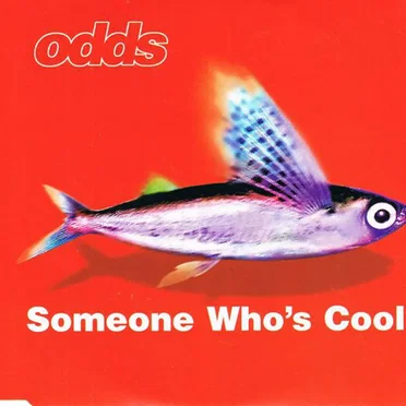 Someone Who's Cool