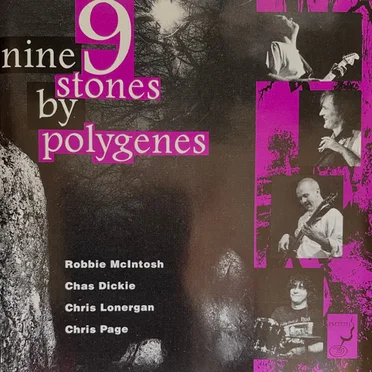 Nine Stones by Polygenes - album cover