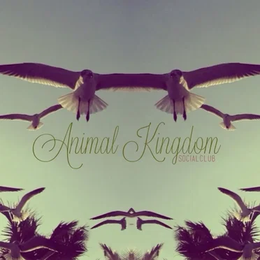 Animal Kingdom