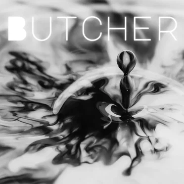 The Butcher by Marissa & the Dandelions - album cover