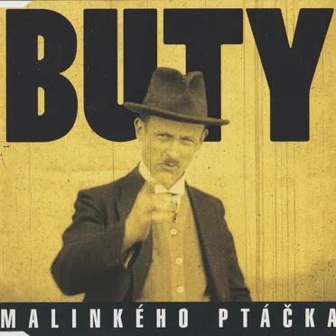 Malinkého ptáčka