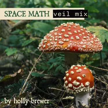 Space Math (Veil mix)