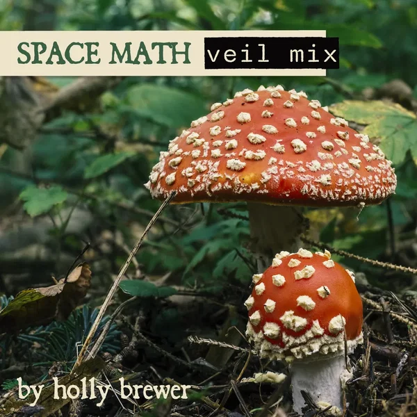 Space Math (Veil mix)