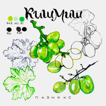 кишмиш