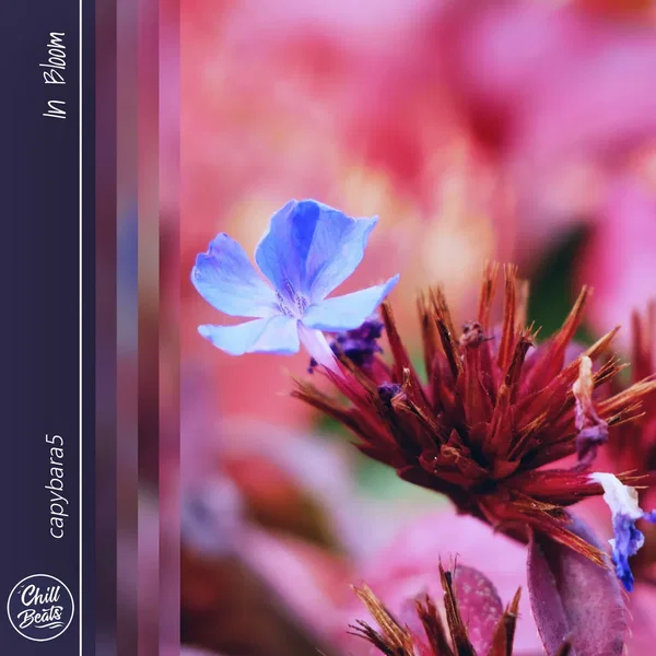 In Bloom