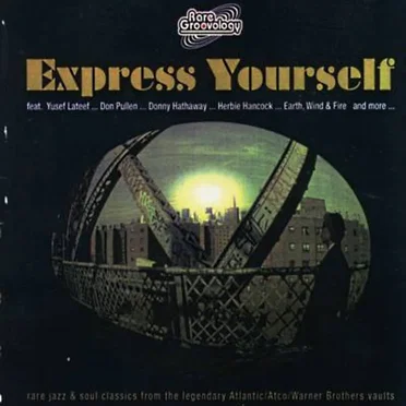 Express Yourself (The Rare Groovology Series Vol. I) by Various Artists - album cover
