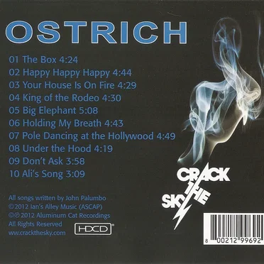 Crack the Sky