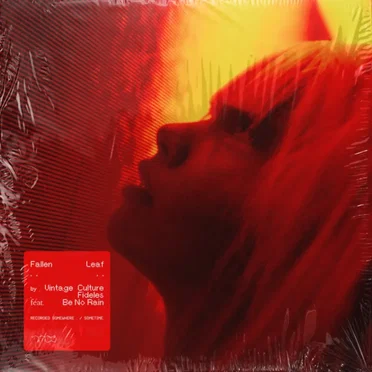 Fallen Leaf (Extended)