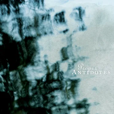 Proper Antidotes by Lone Thunder - album cover