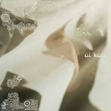 üi küiı by dudeontheguitar - album cover